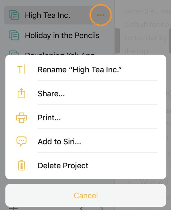 Nabídka projektu na iOS s volbou přejmenování
