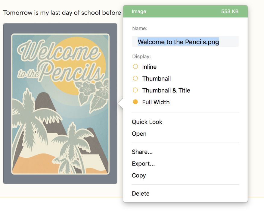 The attachment display options on Mac